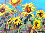 Sunflowers