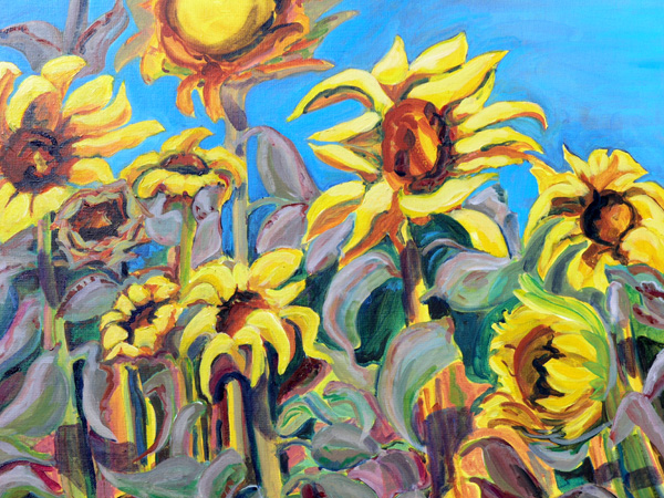 sunflowers